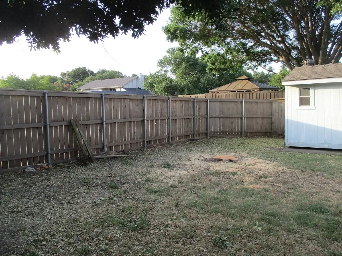 Cleared yard after professional tree removal in Mercer Island